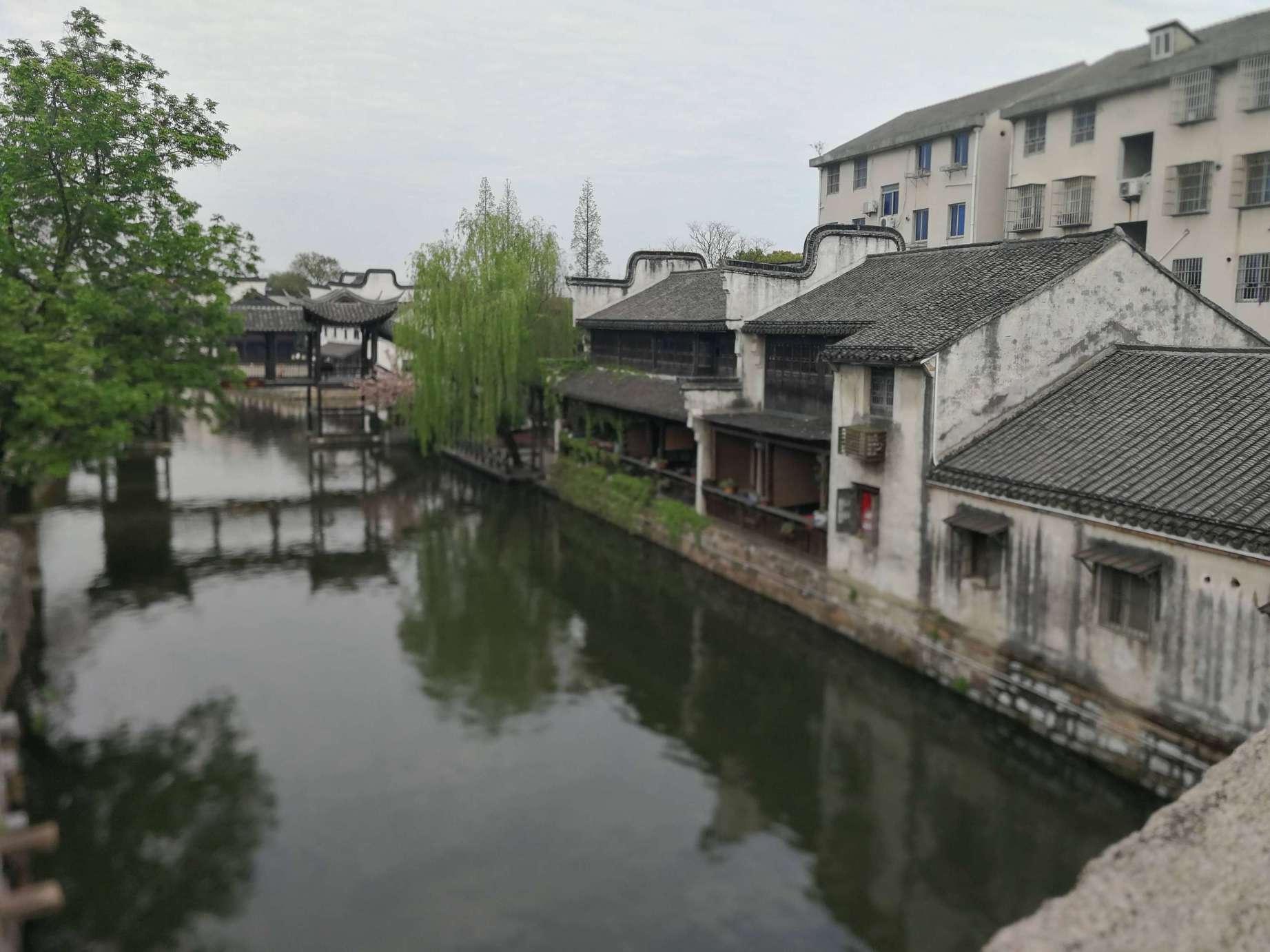 一个女生不谈恋爱不想结婚你觉得奇怪吗？